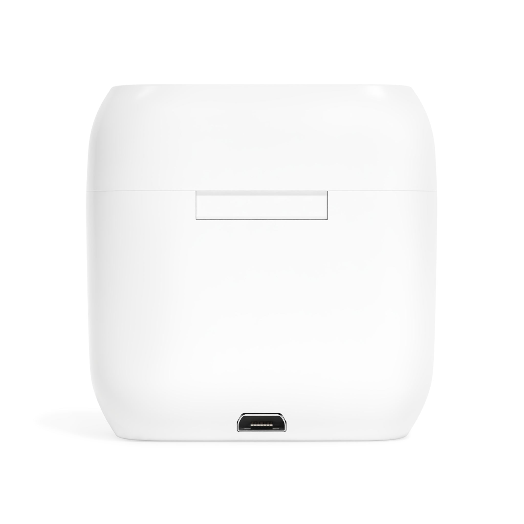 Lionheart Wireless Earbuds